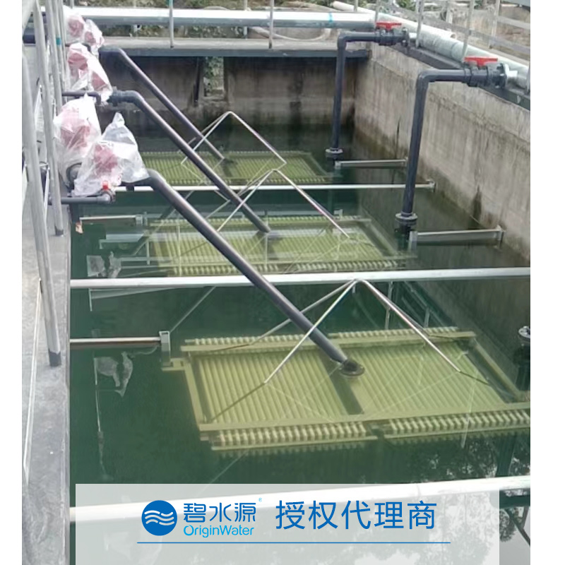 碧水源mbr膜生物反應器中菌種活性辨別